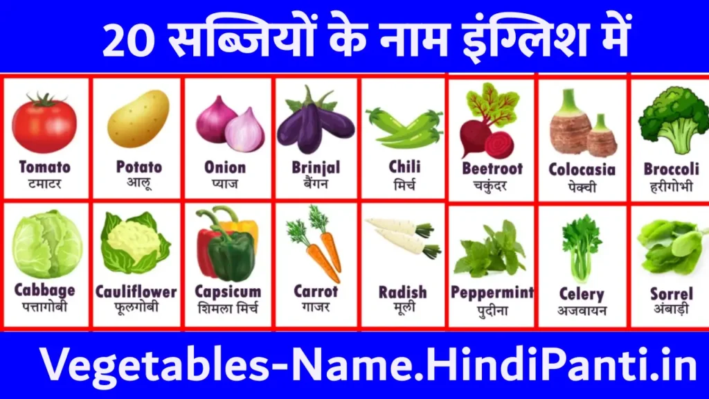 20 Vegetables Name in English